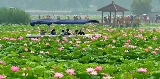 &#24320;&#20113;&#32593;&#39029;&#29256;&#95;&#24320;&#20113;&#40;&#20013;&#22269;&#41;&#23448;&#26041;