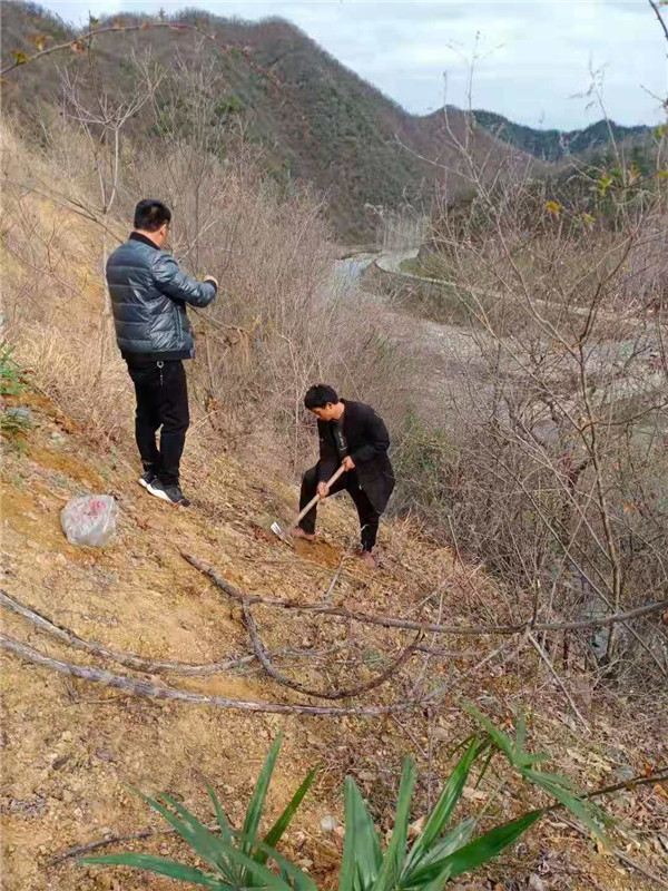 &#24320;&#20113;&#32593;&#39029;&#29256;&#95;&#24320;&#20113;&#40;&#20013;&#22269;&#41;&#23448;&#26041;