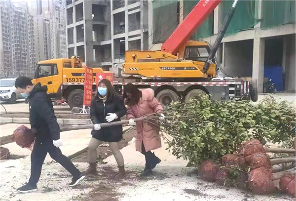 &#24320;&#20113;&#32593;&#39029;&#29256;&#95;&#24320;&#20113;&#40;&#20013;&#22269;&#41;&#23448;&#26041;