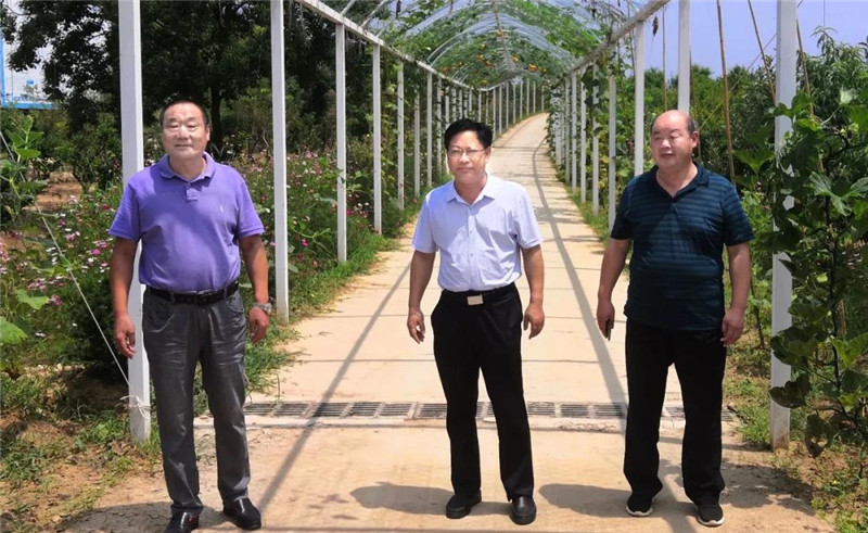 &#24320;&#20113;&#32593;&#39029;&#29256;&#95;&#24320;&#20113;&#40;&#20013;&#22269;&#41;&#23448;&#26041;