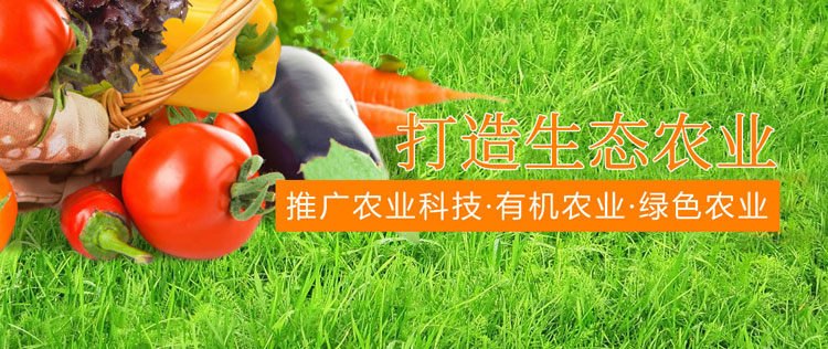 &#24320;&#20113;&#32593;&#39029;&#29256;&#95;&#24320;&#20113;&#40;&#20013;&#22269;&#41;&#23448;&#26041;